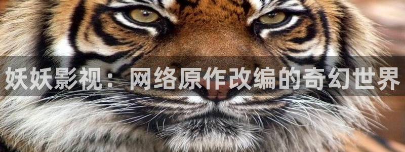 樱花视频成人